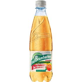 Link zu  Naturell Tee-Variation