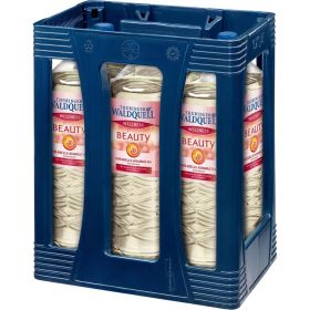 Link zu  Wellness Beauty Mirabelle-Kombucha Mix (6x 1,500 Liter)