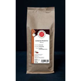 Link zu  Kaffee-Bohnen Lampocoy Guatemala Grand Cru