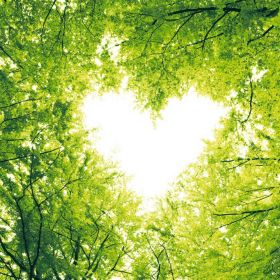 Link zu  Tissue-Servietten Nature Love, 33 x 33 cm, 3-lagig