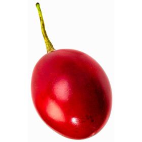 Link zu  Tamarillo