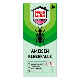 Link zu  Ameisenklebefalle