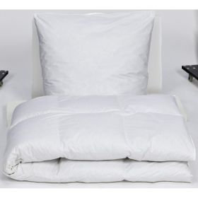 Link zu  Kassettenhochstegbett