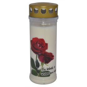 Link zu  Premium 7 Tage Motivlicht Rose