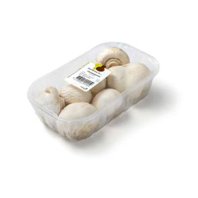 Link zu  Riesenchampignons, Schale