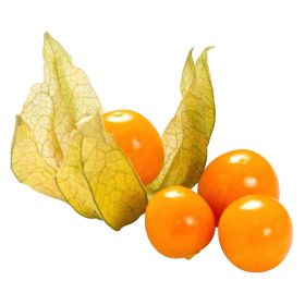 Link zu  Physalis, Schale