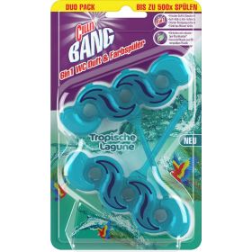 Link zu  WC-Stein, Türkisspüler