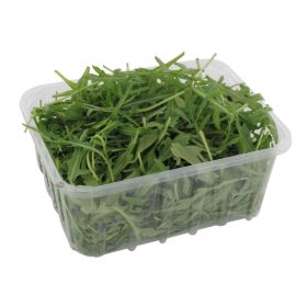 Link zu  Bio Rucola, Schale