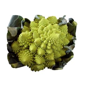 Link zu  Romanesco