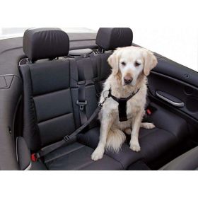 Link zu  Hundegeschirr für Autos, Größe M