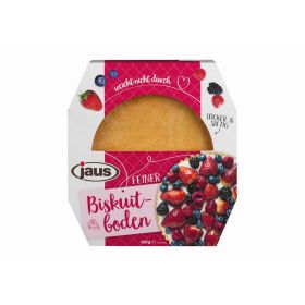 Link zu  Biskuitboden