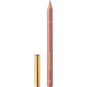 Link zu  Lipliner Color Riche 570 Worth It Intense