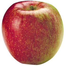 Link zu  Apfel Braeburn, lose