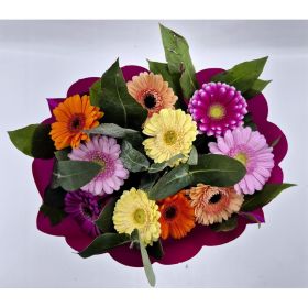 Link zu  Gerministrauß, je Strauß