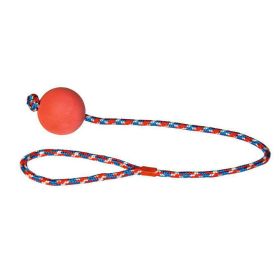 Link zu  Hundespielzeug Moosgummiball am Seil, 60cm