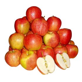 Link zu  Apfel Elstar, Beutel