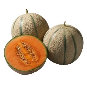 Link zu  Cantaloup Melone