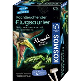 Link zu  Nachtleuchtender Flugsaurier
