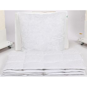 Link zu  Daunen-Einziehdecke