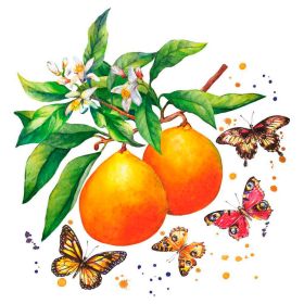 Link zu  Servietten 24x24cm, Fruity Butter